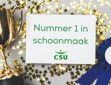 Afbeelding nr1 schoonmaak website