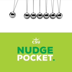 CSU Nudge Pocket Hospitality nudging