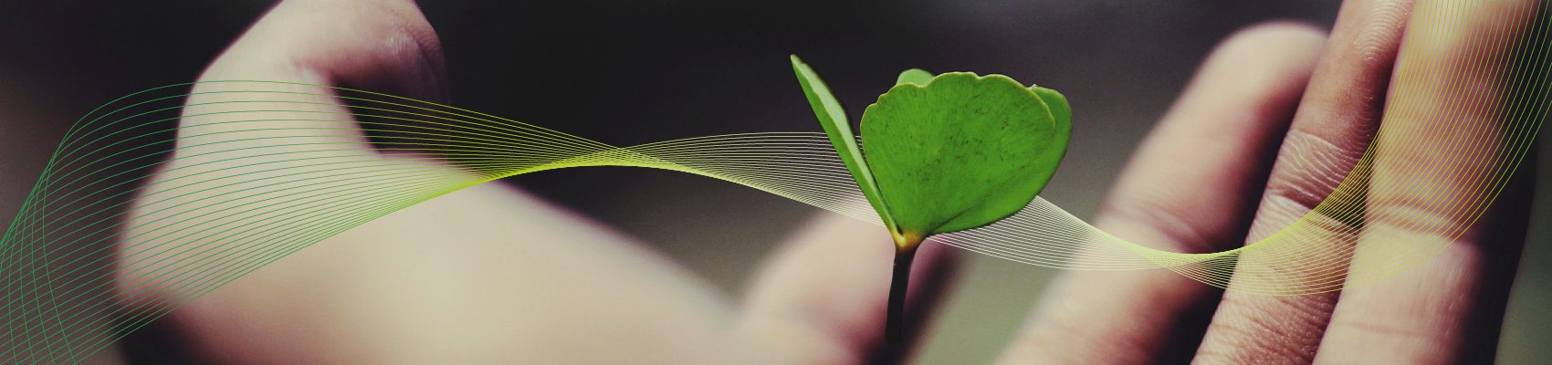 Duurzaam voor een sociaal groene wereld samen scherper samen schoner