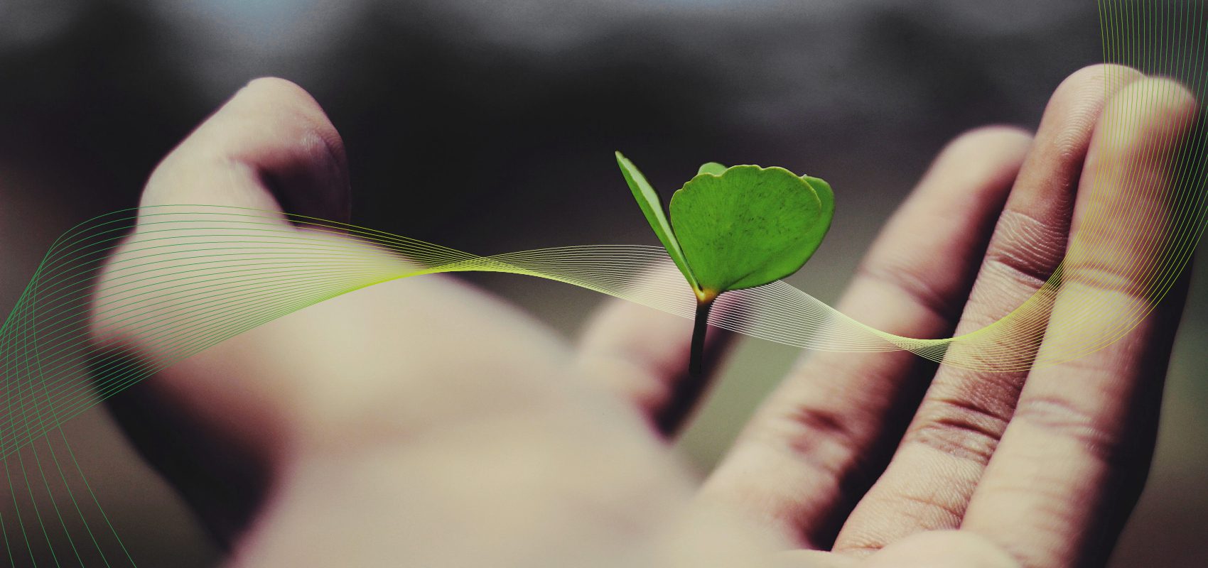 Duurzaam voor een sociaal groene wereld samen scherper samen schoner